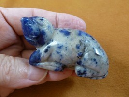 (Y-SEAL-711) blue Sodalite SEAL gemstone carving FIGURINE gem seals sea ... - $17.53