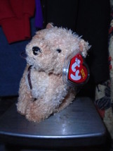 Ty Beanie Babies Scampy In Case w/HAng Tag Protector 2004 Ex Condition - £9.57 GBP