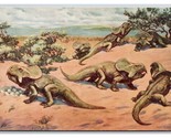 Protoceratops and Eggs Natural History Museum Chicago IL UNP Chrome Post... - $2.92