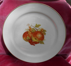 Pickard China Fruit Dinner Plate Apple Apples Fall Autumn Currants Gold 10 5/... - £20.23 GBP