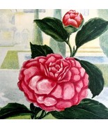 Nasturtium Lithograph 1920 Flower Print Myron Van Brunt Floral Garden Ar... - $49.99