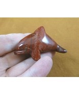 (Y-WHA-KI-708) red Jasper KILLER WHALE ORCA gemstone carving figurine ge... - $23.97 CAD