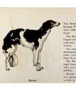 Borzoi Russian Wolfhound 1939 Dog Breed Art Ole Larsen Color Plate Print... - $29.99