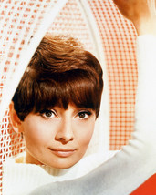 Audrey Hepburn in 1960s Hanging Chair 16x20 Canvas Giclee - $69.99