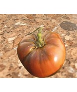 Old German Tomato Seeds- Heirloom from the 1800&#39;s Rich Sweet Flavor on L... - $66.18 MXN+