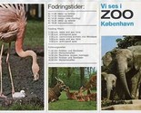Kobenhaven Zoo Brochure Copenhagen Denmark  - $17.82