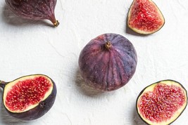 Item image 1 image 1