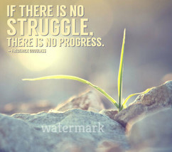 &quot;If There Is No Struggle, There Is No Progress&quot; Quote Publicity Photo - £6.35 GBP