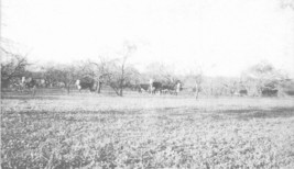 Cattle Ranch Hill County Texas Griffin Printing Farm Agriculture Postcar... - $8.51