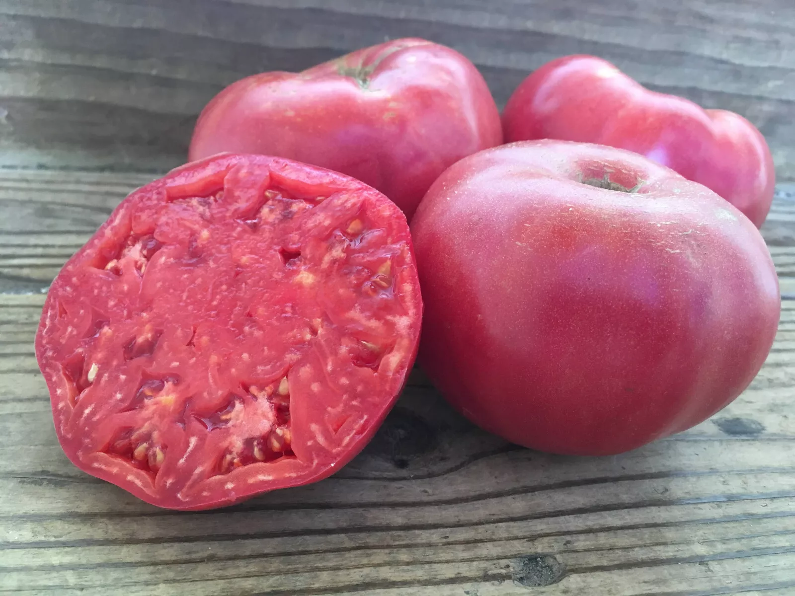 50 Seeds Mortgage Lifter Tomato Tomatoe Vegetable Garden Edible Canning - $9.63