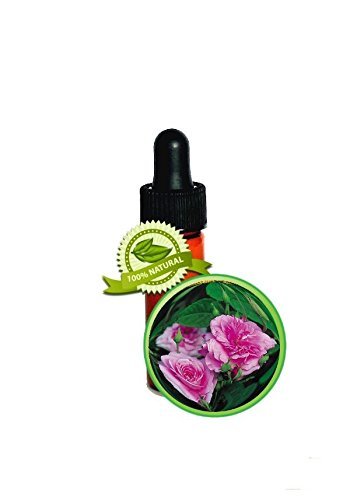Rose Petal Essential Oil (Bulgarian Rose Otto) 3.7ml/ 1/8oz-PURE Rosa Damascena