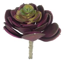 Pack Of 6 Realistic Lifelike Artificial Zwartkop Succulent Stem Botanicas - €51,21 EUR