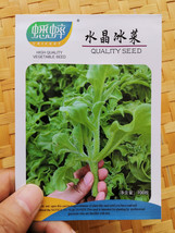 100 Seeds / 3000Pcs Ice Edible Plant Mesembryanthemum Crystallinum Vegetables Ga - £7.58 GBP