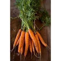 400 Seeds of Carrot Tender Sweet  USA Grown - £14.35 GBP