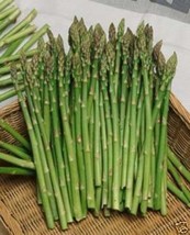 Asparagus Mary Washington 50 Seeds Great Vegetable Heirloom Fresh Gardening USA  - £7.86 GBP