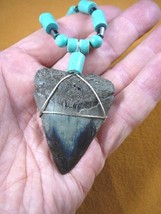 (s256-23) 2-1/8&quot; fossil MEGALODON shark Tooth turquoise + hematite bead ... - £77.11 GBP