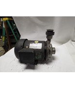 AMT 1625-310 Stainless Steel Water Pump with 1-1/2 hp WEG 3ph Motor - $3,386.04 MXN