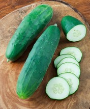 GIB 25 Seeds Easy To Grow Straight Eight Cucumber Heirloom Vegetable Pic... - £7.19 GBP
