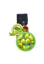 Helichrysum Essential Oil - 100% Pure (Helichrysum Italicum) - 15ml (1/2oz) - Un - $78.39
