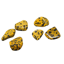 Set 6 Dalmatian Jasper Tumble Stones - Jasper Dalmation Yellow - $5.61