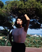 Sophia Loren in sleeveless white blouse 1960&#39;s poses for press 8x10 photo - £8.97 GBP