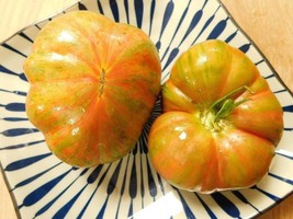 Green Lantern Lights Tomato from the USA - 5+ Seeds - P 472 - £1.58 GBP