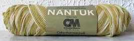 Vintage Columbia-Minerva Nantuk Ombre 4 Ply Acrylic Yarn - 1 Skein Sage #5828 - £5.19 GBP