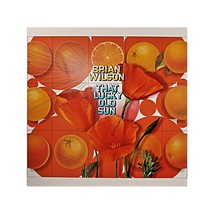 Brian Wilson Signed HUGE 36x36 That Lucky Old Sun Promo Foamboard Poster CX - £467.42 GBP
