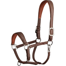 STG Genuine Leather Horse Adjustable Halter For All Type Horse Pack Of 5 Halter - £310.15 GBP