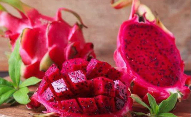 70 Red Dragon Fruit Seeds Pitaya Pitahaya Hylocereus Undatus Cactus Grow... - $2.99