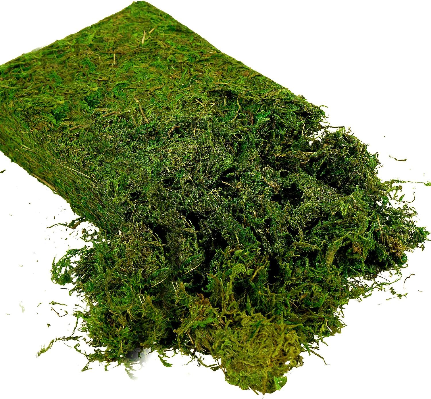 Usmola Artificial Fake Moss, 8oz Craft Moss for Potted Plant Centerpieces Decor (Fresh Green)