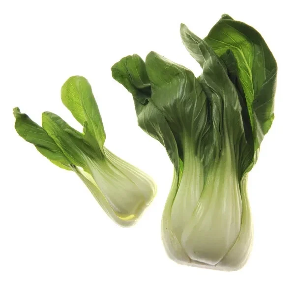 2000+  Bok Choy Seeds | Chinese White Stem Pak Choi | Chinese Cabbage Seeds - $4.00