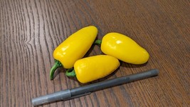 Grow Lemon Spice Jalapeño Chili Pepper Ripens to Yellow- Unique Flavor C... - $4.29+