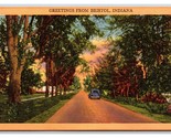 Generici Scena Greetings Country Road Bristol Indiana IN Unp Lino Cartol... - £3.99 GBP