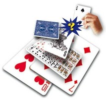 Funny Prediction - Reveal A Spectator&#39;s Card In A Novel Way! - £2.37 GBP