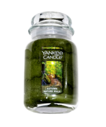 Yankee Candle Autumn Nature Walk 22oz Dark Green Wax Clear Glass Jar - $46.63 CAD