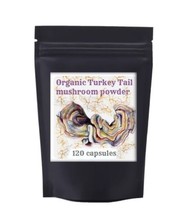 Trametes versicolor/Turkey tail mushroom extract powder Immunity booster - £14.74 GBP
