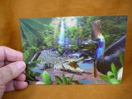 (POST-3)  Lenticular 3D Postcard Australia Crocodile Cassowary bird wildlife - £7.58 GBP