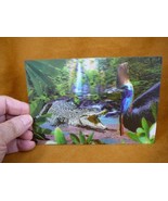 (POST-3)  Lenticular 3D Postcard Australia Crocodile Cassowary bird wild... - £7.46 GBP