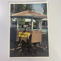 Gatorland Gator Jumparoo Show Postcard - $2.91