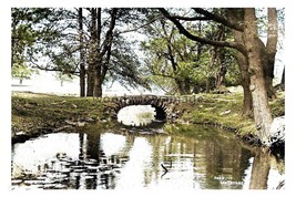 ptc9536 - Yorks - Early view of an old Bridge in Cawthorne Park - print 6x4 - £2.09 GBP