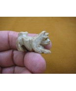 (Y-CAT-58) tan gray KITTY CAT gemstone carving love cats SOAPSTONE figur... - $160.11 MXN
