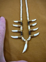 (G170-308) nine 1&quot; Alligator Tooth Teeth Gold capped aceh bovine bone necklace - £70.17 GBP