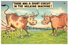 There Was A Short Circuit In The Milking Machine Funny Postcard - £6.96 GBP
