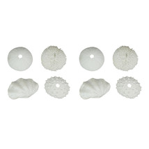 Set of 8 White Resin Clam and Sea Urchin Shell Decorative Accent Figures - £30.96 GBP