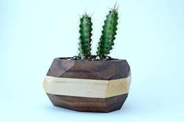 Iron Roots Designs - Original Geometric Cactus &amp; Succulent Planter - £48.25 GBP