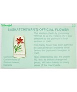 Retro/Vintage Jacket/Shirt/Lapel/Tie Pins  USA Ribbon Lily, Apple, Sask - $6.79 CAD+
