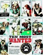 Gildan T-shirt Dog Most Wanted Dogs Unisex M NWT New Cotton Short Sleeve... - €17,67 EUR