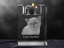 Exotic Shorthair, crystal candlestick with cat, souvenir, decoration - £45.55 GBP