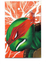 Mighty Morphin Power Rangers / Teenage Mutant Ninja Turtles II Issue #2 - Doaly - £20.63 GBP
